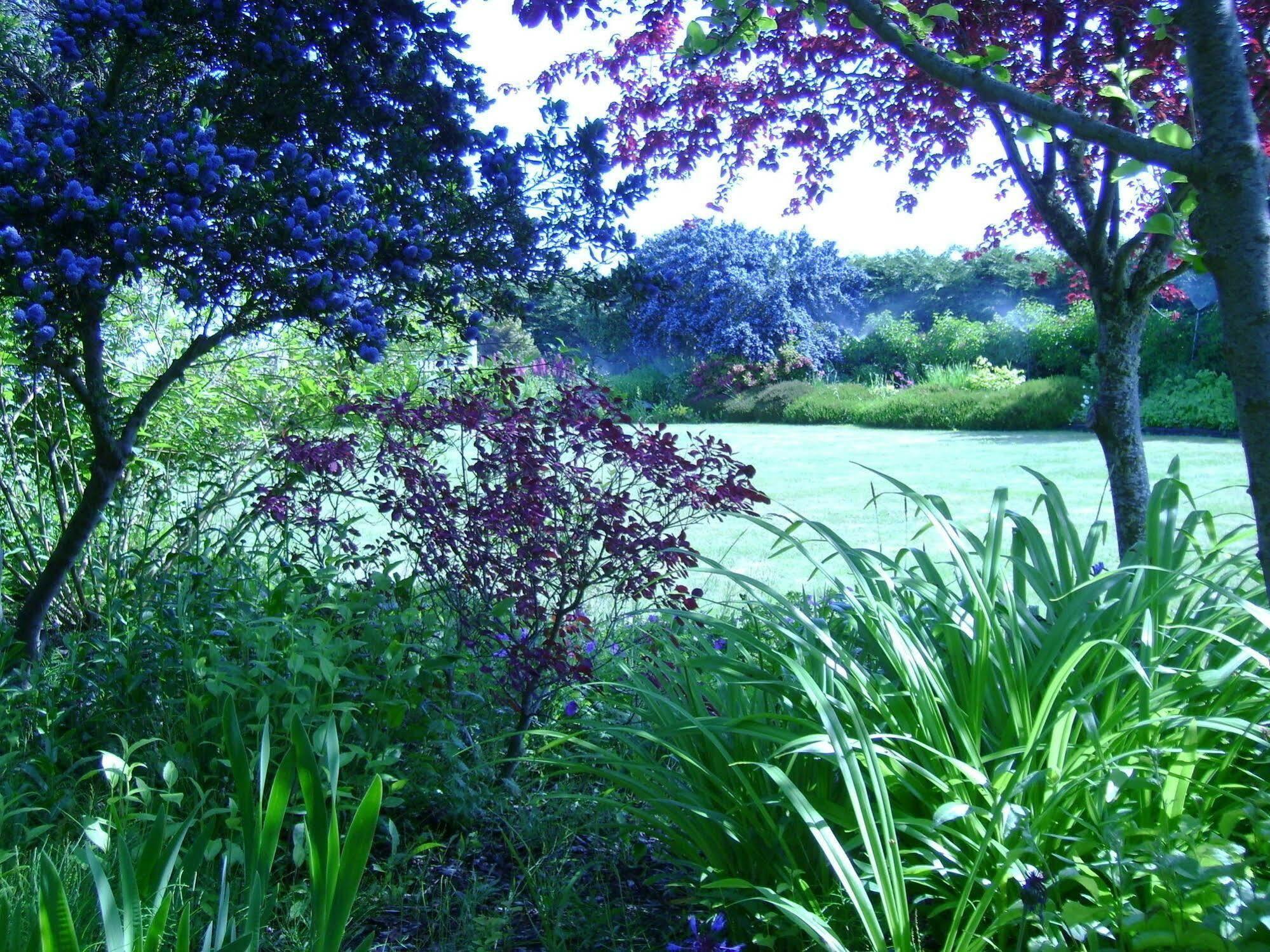 Sea Cliff Gardens Panzió Port Angeles Kültér fotó